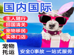 萧山航空货运国际宠物托运 【国